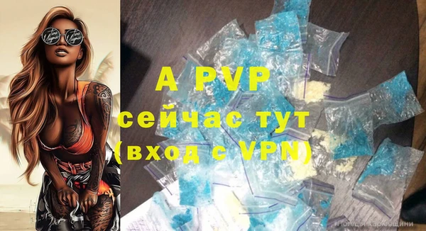 спиды Абаза