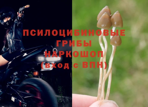 наркотики Алексеевка