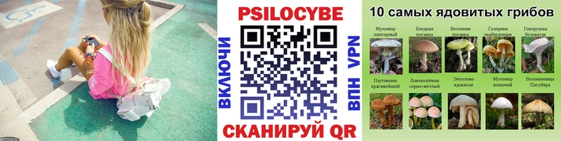 Галлюциногенные грибы GOLDEN TEACHER  Брюховецкая 